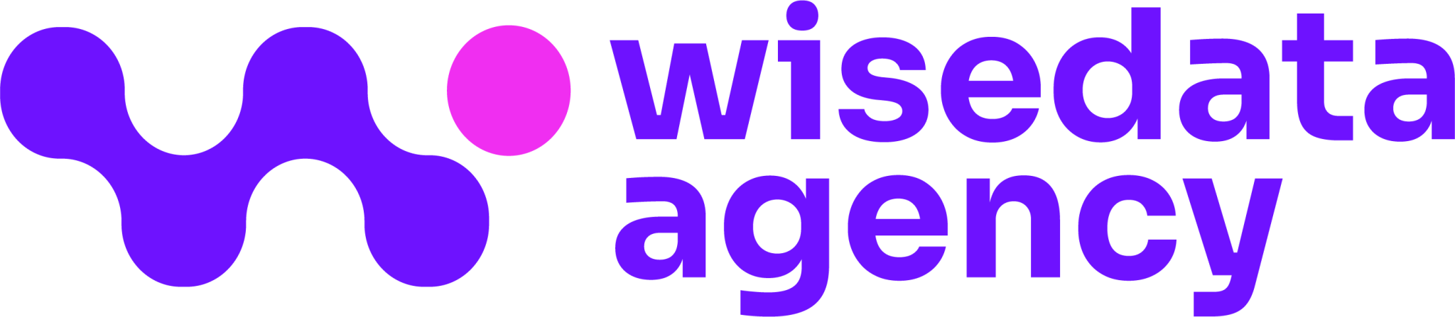 Logo WiseData Agency